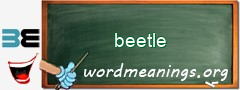 WordMeaning blackboard for beetle